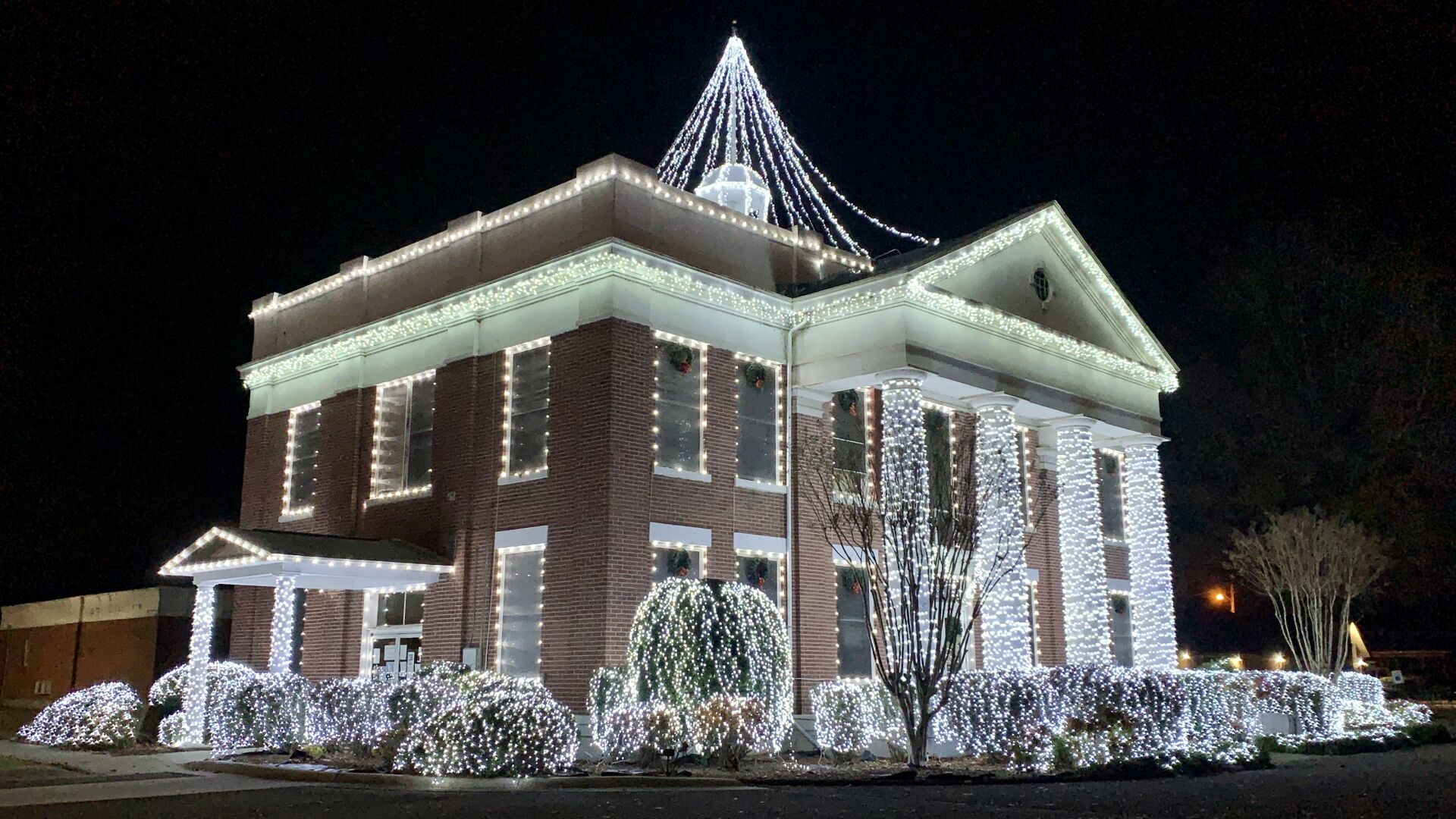 Trees at the Courthouse in Dardanelle